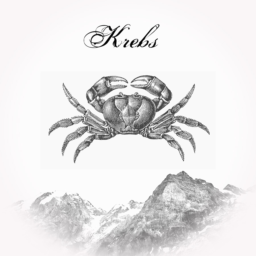 Sternzeichen Krebs